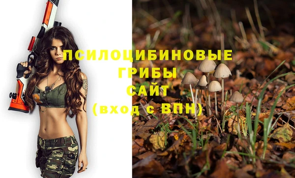 гашиш Бородино